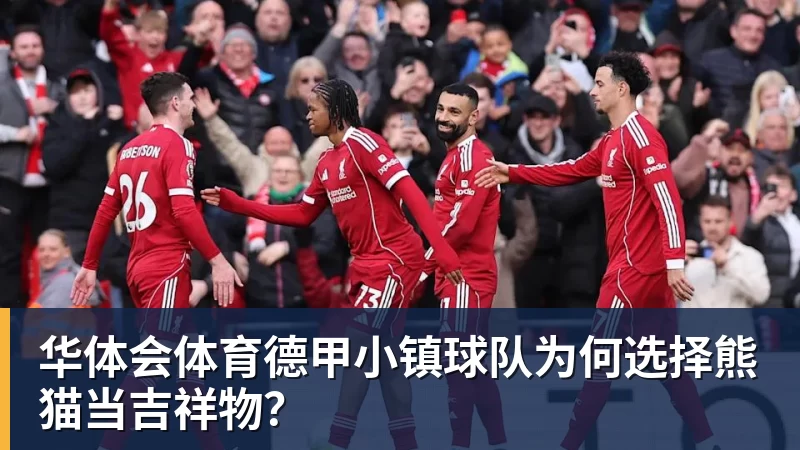华体会体育德甲小镇球队为何选择熊猫当吉祥物？